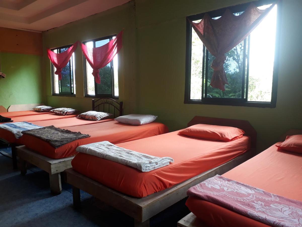Mulu D Cave Homestay Экстерьер фото